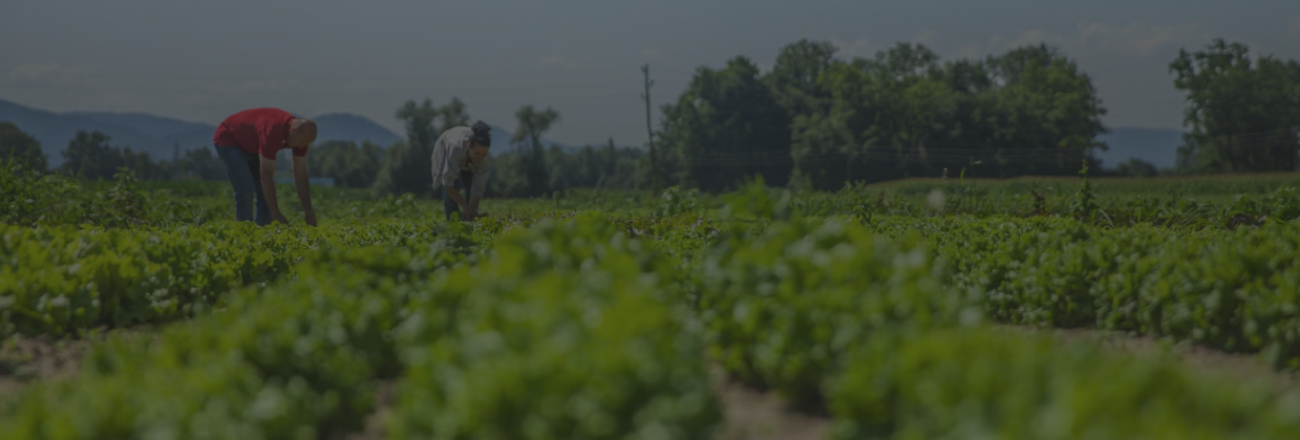 Main intro image of manufacturing image 